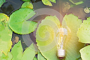 Light bulb with lotus for idea, success and solar energy