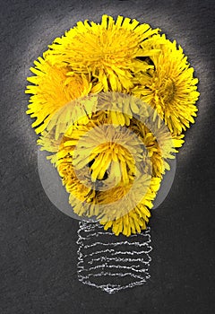 Glowing Light bulb made of yellow dandelion flowers, isolated on black stone texture. idea creative concept.