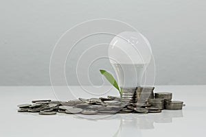 Light bulb, money and plant on white background.