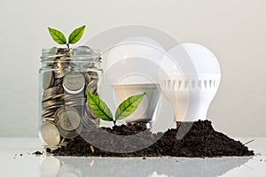 Light bulb, money and plant on white background.