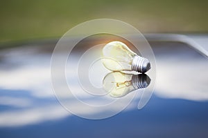 Light bulb in nature background