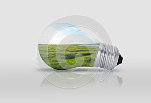 Light bulb with nature inside