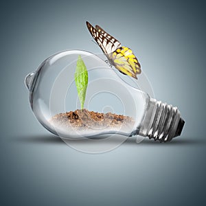 Light Bulb with plant and butterfly