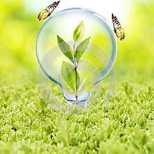 Light Bulb with plant and butterfly