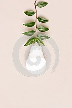 Light bulb powered by green branch cable, Environment, Green energy concept.