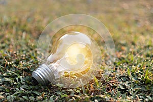 Light bulb putting on the grass in nature background