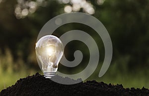 Light bulb putting on the soil in nature background