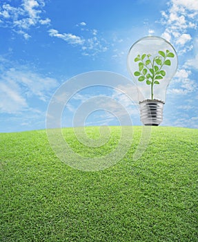 Light Bulb with small plant inside and green grass field over bl