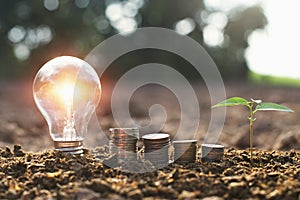 light bulb with small tree and money stack on soil in nature background