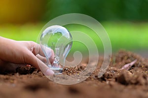 Light bulb on soil with green background. Ecology and saving energy concepts