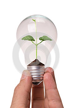 Light Bulb with soil and green plant