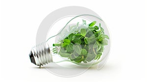 Light Bulb with soil and green plant sprout inside.