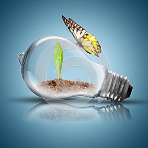 Light Bulb with soil and green plant sprout inside and butterfly