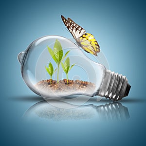 Light Bulb with soil and green plant sprout inside and butterfly