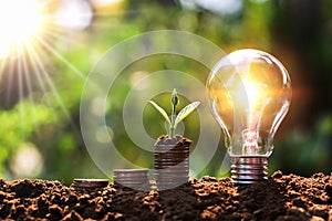 light bulb on soil with young plant growing on money stack. saving finance and energy