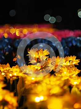 light bulb and sunflower by hand made park next to river in Phisanulok