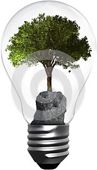 Light Bulb, Tree, Environment, Isolated, Energy, Green