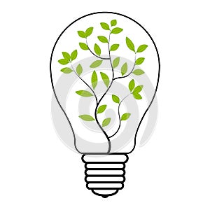 Light bulb tree plant inside, vector light bulb with green plant symbol of eco energy saving and renewable energy, green