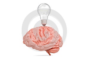 Light bulb under brain, idea concept. 3D rendering