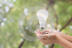 Light bulb in woman hand,Realistic photo image. Turn on tungsten