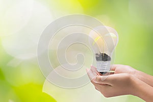 Light bulb in woman hand,Realistic photo image. Turn on tungsten