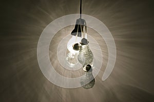 Light bulbs 01