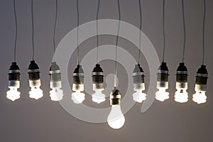 Light bulbs photo