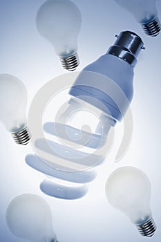 Light Bulbs