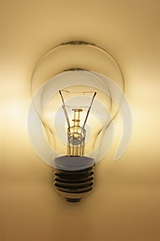 Light Bulbs