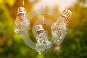 Light bulbs hang on the face wet from the rain on a natural background