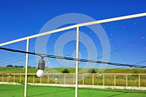 Light bulbs hanging in the row, blue sky, green lawn