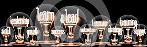 Light Bulbs with Learn & Lead Concept