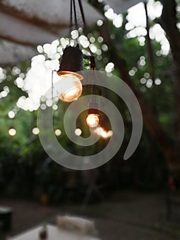 Light bulbs in Litte Tree