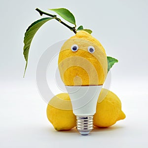 Light bulbs made with lemons photo