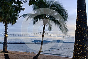 light bulbs on string wire decoration at the party event festival on the beach at sunset. Outdoor holiday background. Copy space