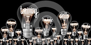 Light Bulbs with Training Concept