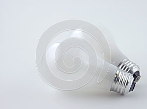 Light Bulbs on White