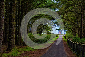 Light from Cape Meares Lighthouse at end of path photo