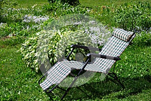 A light checkered folding chair for outdoor recreation stands on the grass next to a flower bed with Hosta and nemophila flowers