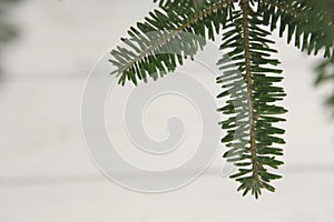 Light Christmas or New Year background with a fir tree branch
