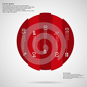 Light Circle template infographic vertically divided to five red parts