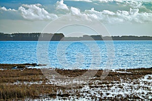 Light clouds in the sky on the Bodden in Zingst on the Baltic Sea peninsula. Bodden landscape with meadows. Nature reserve on the