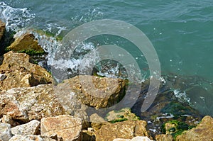 Light color rocks, stones