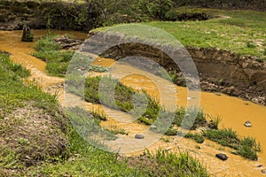 Light colored mud stream water at Buchanan Park