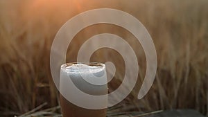 Light cool beer is poured in a large stream into a transparent glass mug.