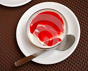 Light creamy panna cotta with cranberry coulis in glass bowl photo