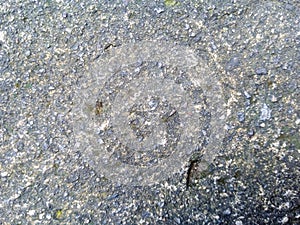 Light and dark grey textured plastered wall background