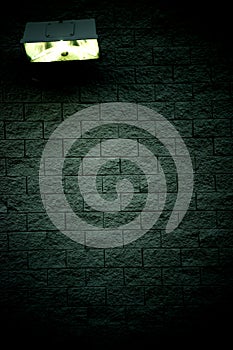 Light on the dark wall