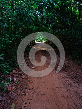 Light at the destination