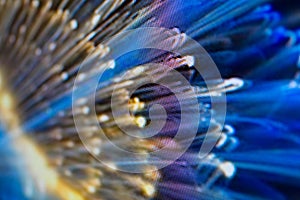 Light emitting diodes for LED display. Digital LED screen background